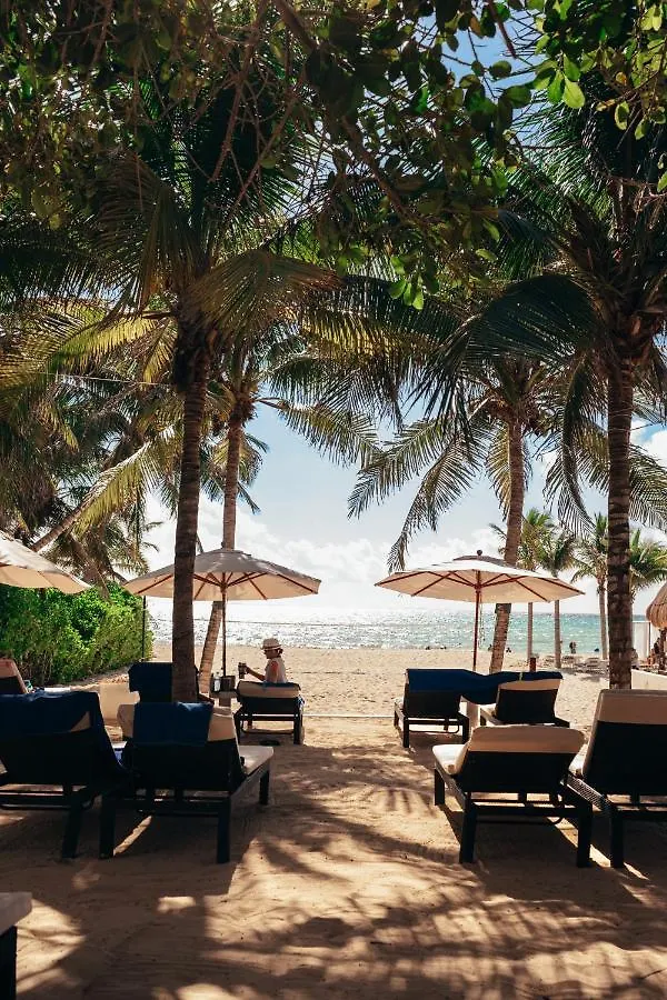 The Reef Playacar Beach Resort & Spa Playa del Carmen