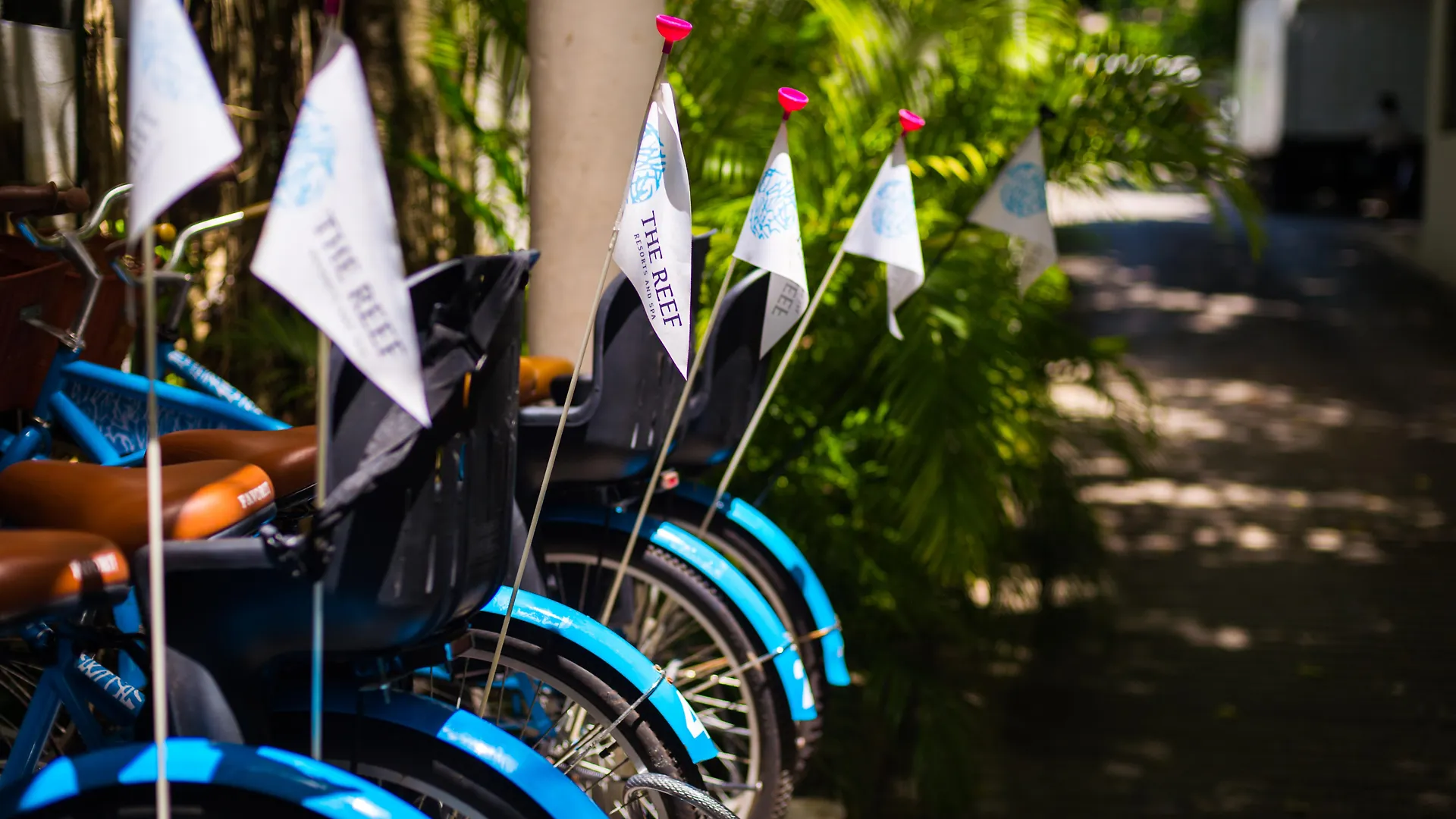 The Reef Playacar Beach Resort & Spa Playa del Carmen