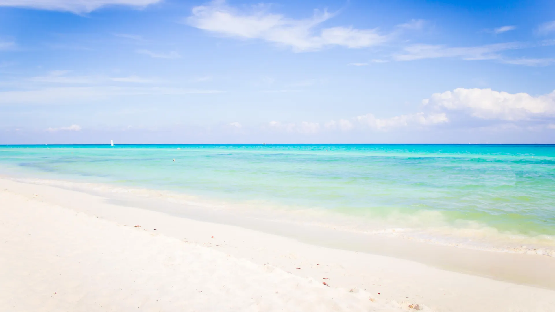 ****  The Reef Playacar Beach Resort & Spa Playa del Carmen Meksyk